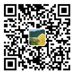 投资10元一小时赚单双
